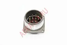 ШР32П10ЭШ1 вилка фото